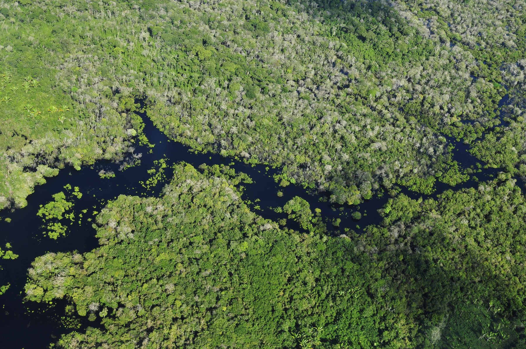 Manaus, Brasil