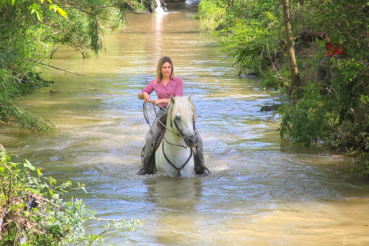 horse, woman, complicity-3424877.jpg